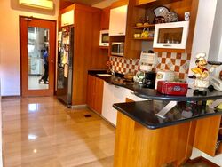 Washingtonia Villa (D28), Semi-Detached #571153441